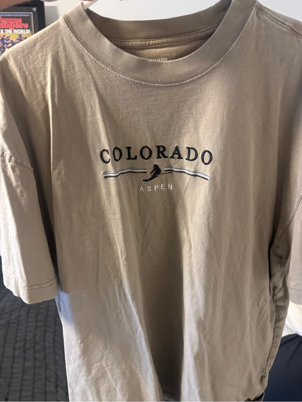 Hollister Colorado Aspen Short Sleeve T-Shirt - Khaki